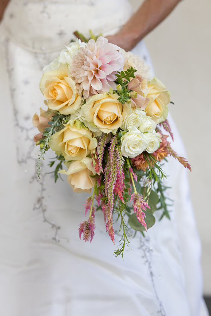 WEDDINGS & SPECIAL EVENTS