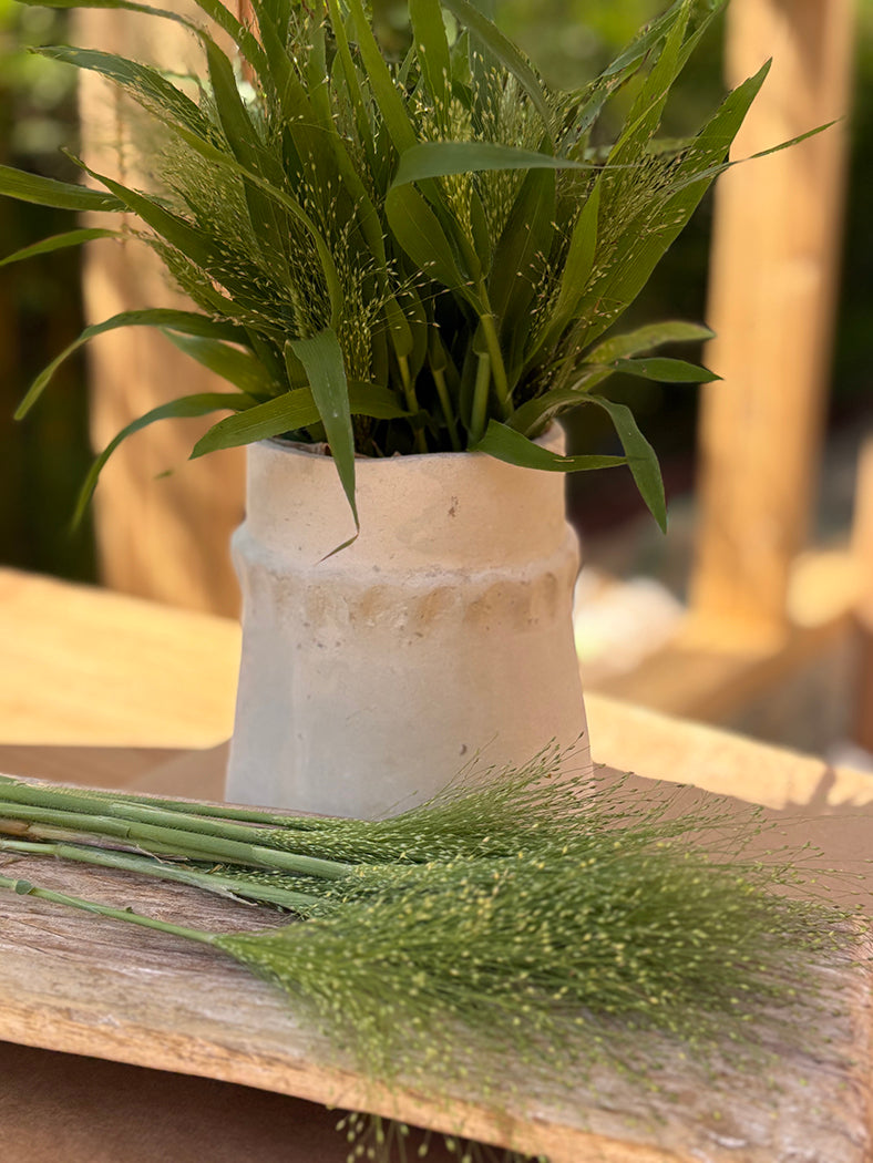 Explosion Grass