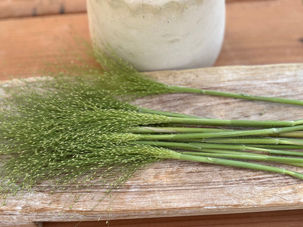 Explosion Grass