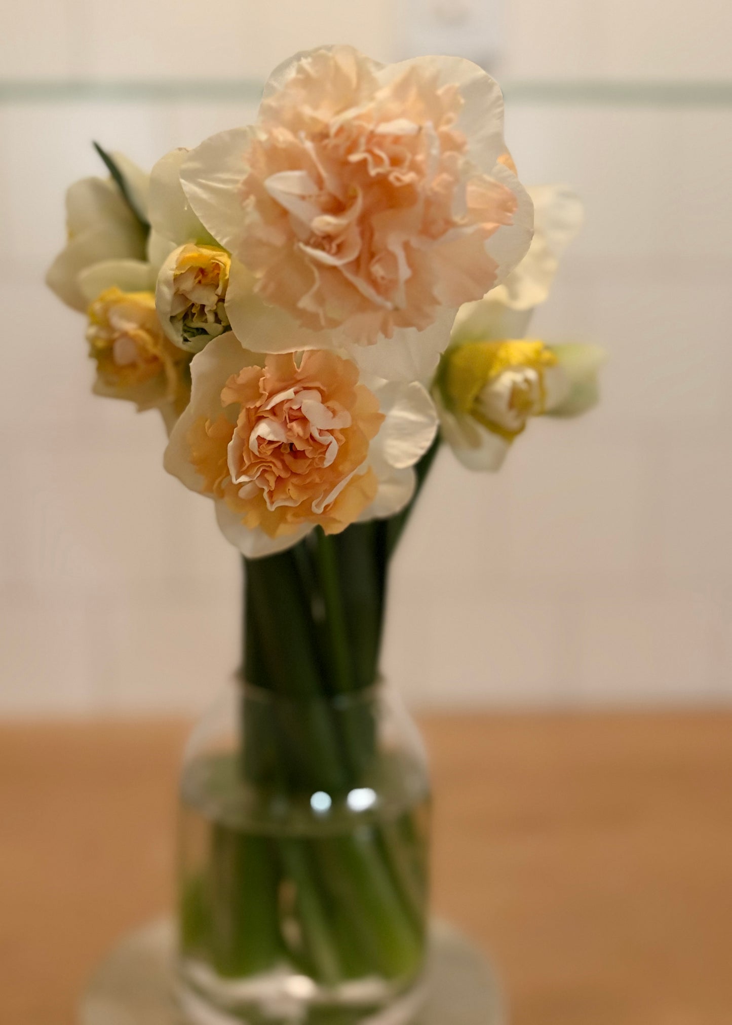 Flower Surprise Narcissus