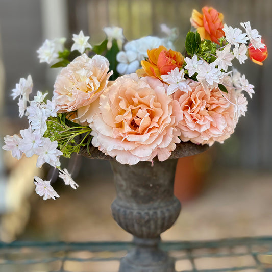 Focal arrangement (medium)