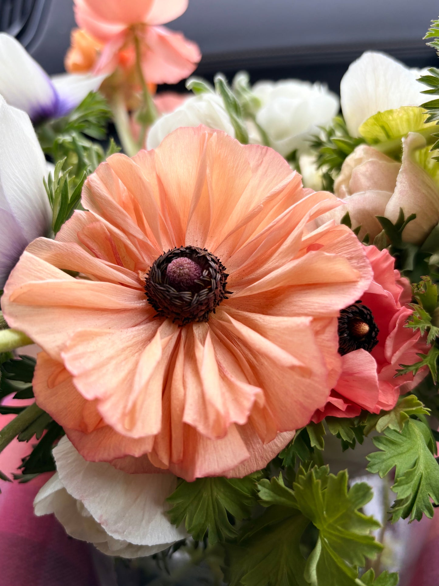Ranunculus and Anemones