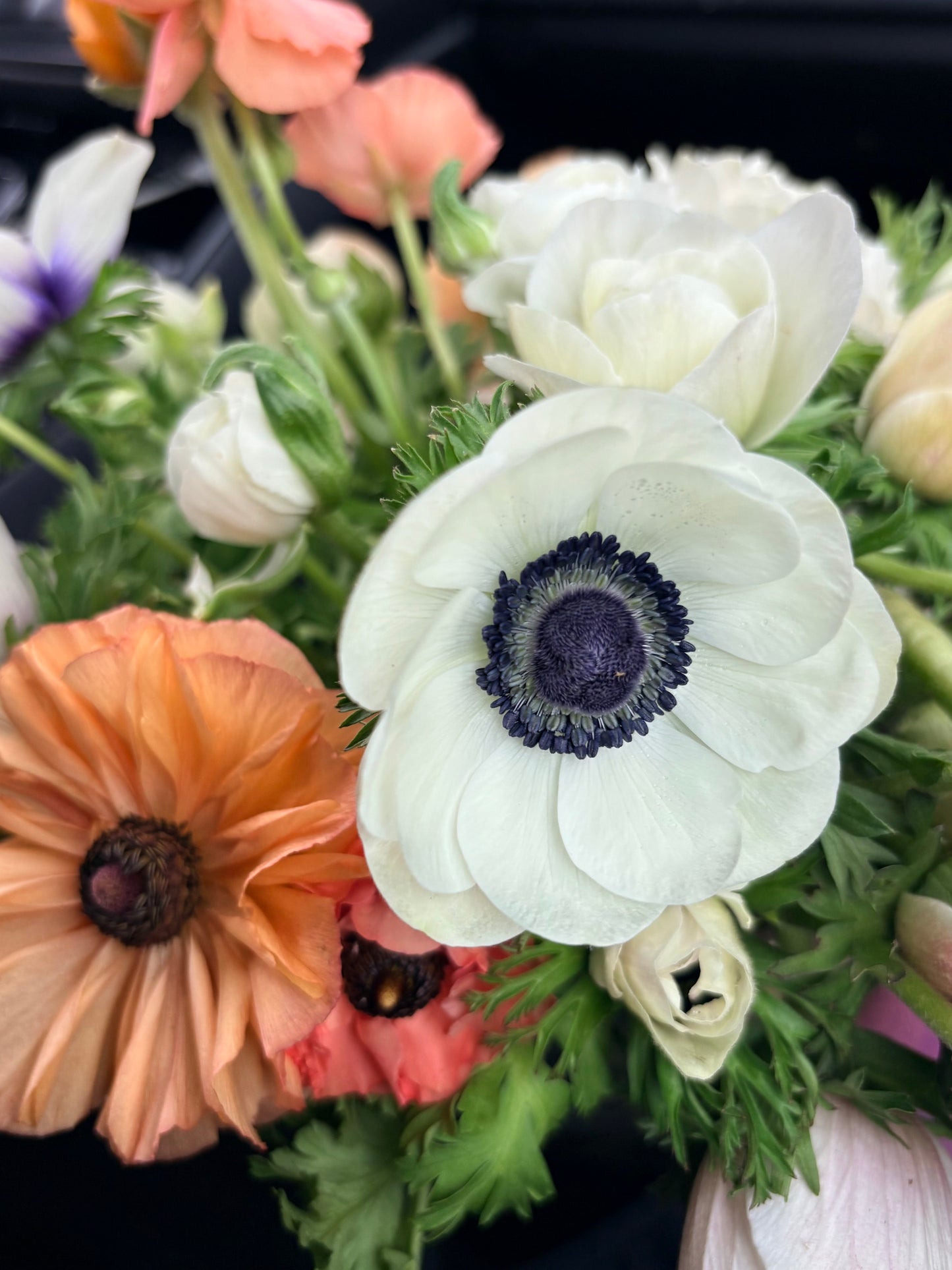 Ranunculus and Anemones