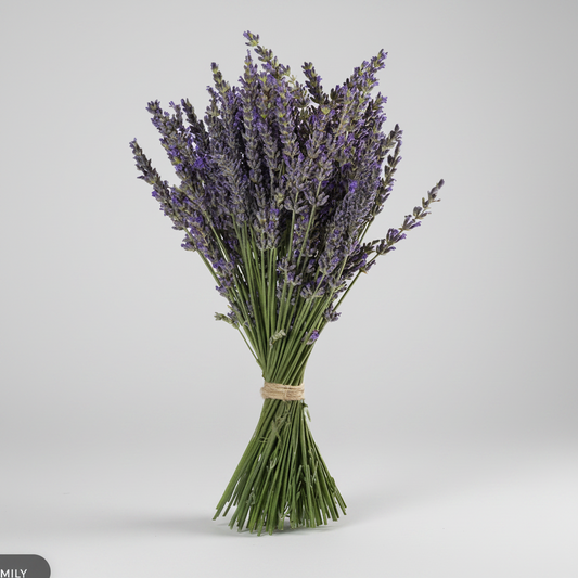 French Lavender