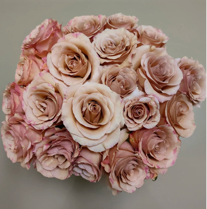 Moab Rose