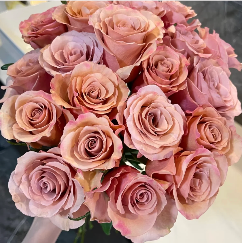 Moab Rose