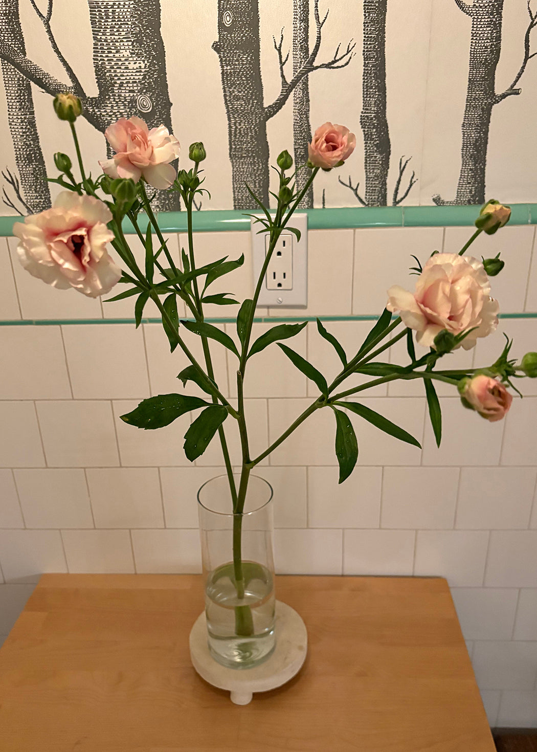 Butterfly™ Ariadne® Ranunculus