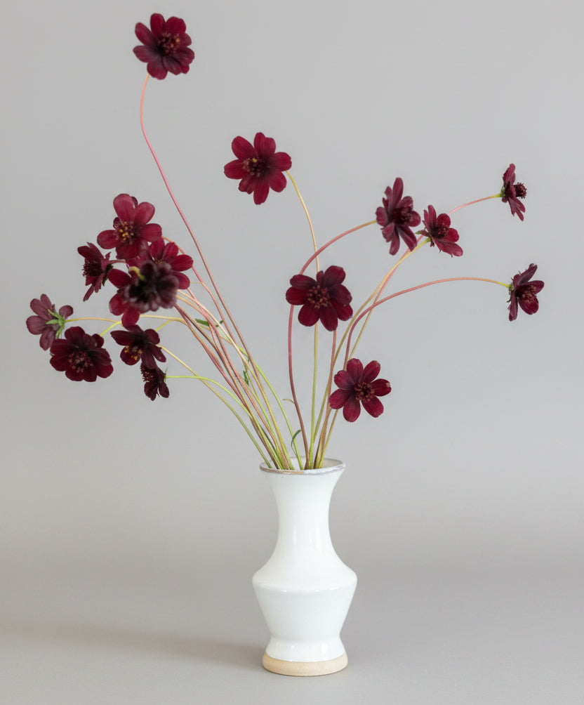 little chocolate red flowers