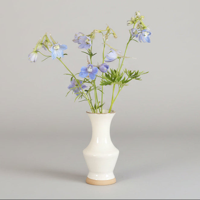 light blue flower