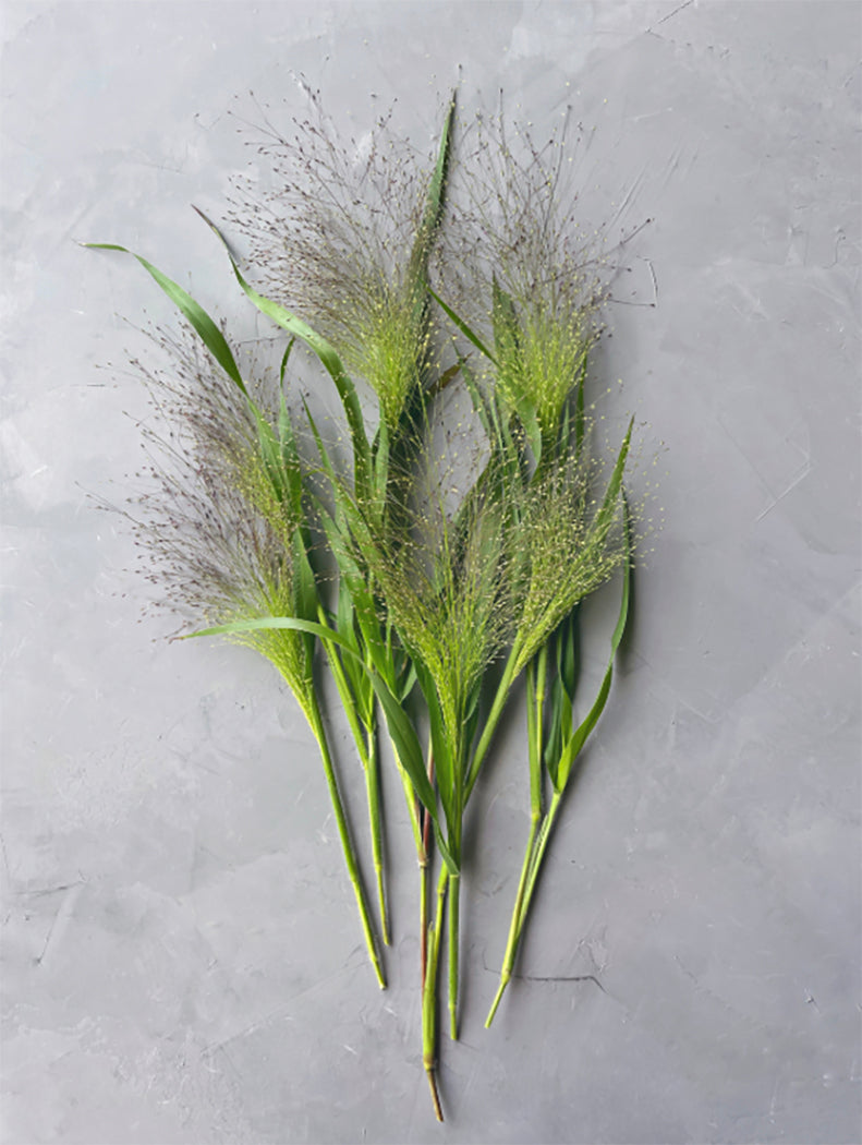 Explosion Grass